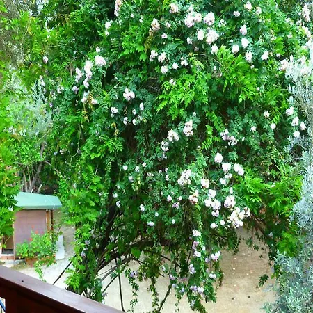 Tatil Evi Simge Çıralı