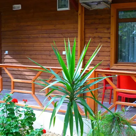 Case de vacanță Simge *
